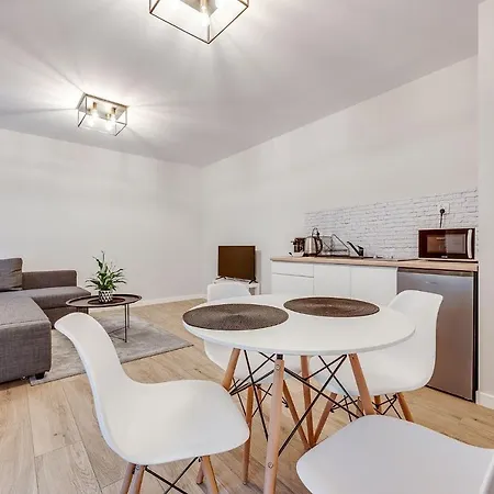 Platinum 23 Apartmán Rybnik (Silesia)