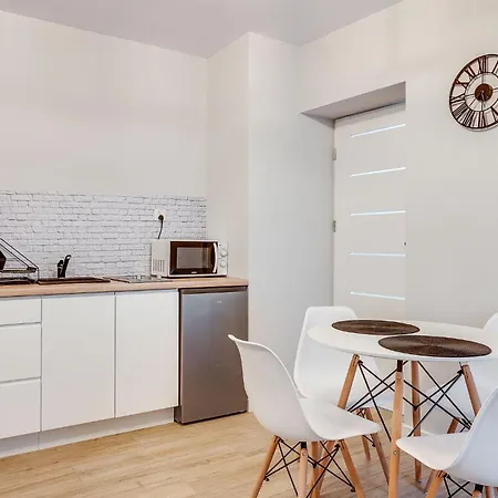 Platinum 23 Apartmán Rybnik (Silesia)